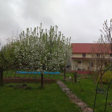 Garden House Bed & Breakfast Almaty Bagian luar foto